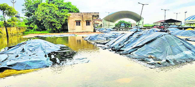 వరికి నష్టం.. పత్తి కష్టం2
