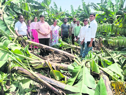 నేడు జాబ్మేళా 1