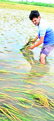 మోంథా విధ్వంసం1