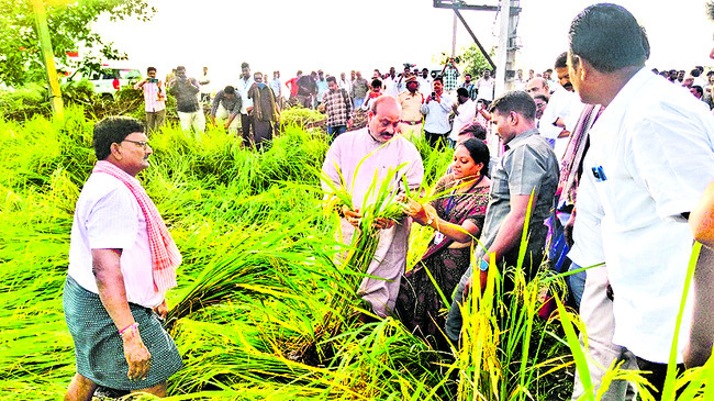 బాధిత రైతులను ఆదుకుంటాం 1