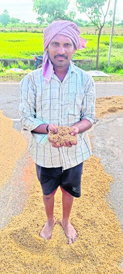 మోంథా ప్రభావంతో 64,939 ఎకరాల్లో పంటలకు నష్టం 1