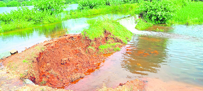 తగ్గని గోస్తనీ ఉధృతి4