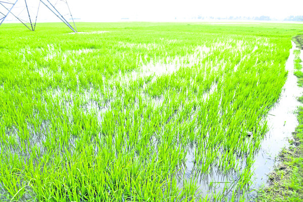 విపత్తు వచ్చే కంటే ముందు సన్నద్ధత, విపత్తు తీవ్రతను నివ4