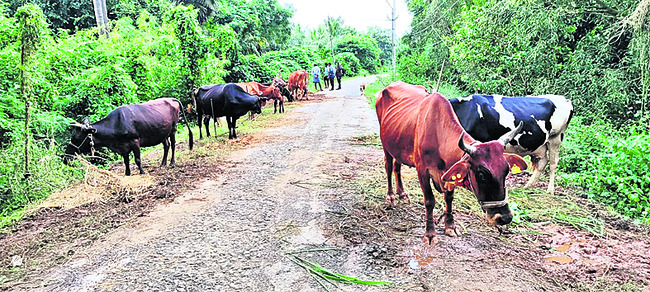 ముంచెత్తిన వరద.. అల్లాడిన ప్రాణాలు 2