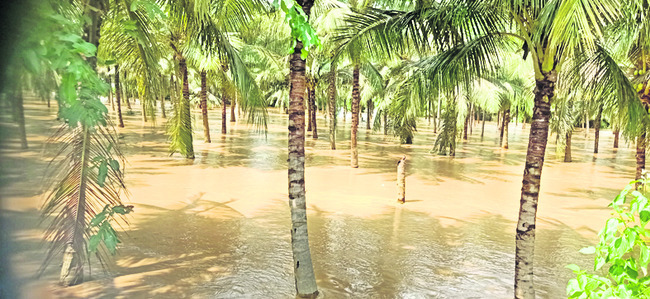 ముంచెత్తిన వరద.. అల్లాడిన ప్రాణాలు 3