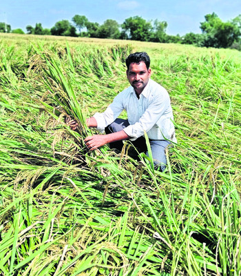 రైతన్నకు కన్నీరే దిక్కు! 1