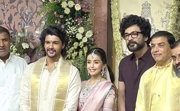 Producer Dil Raju Brother Daughter Wedding PHotos9