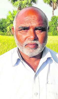 ధాన్యం మొలకెత్తింది
2