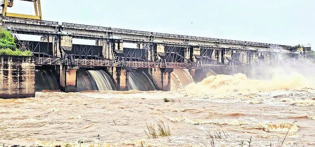 దత్తివలసలో ఏనుగుల గుంపు 3