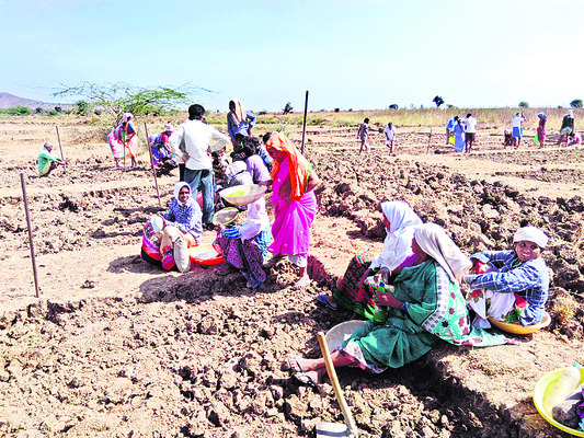 కుమురం భీం2