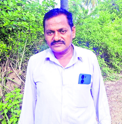 కోతకొచ్చిన వరిపంట1