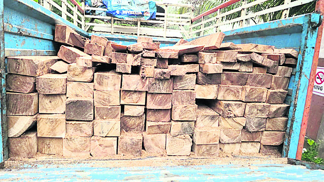 అటవీశాఖలో ధనదాహం1