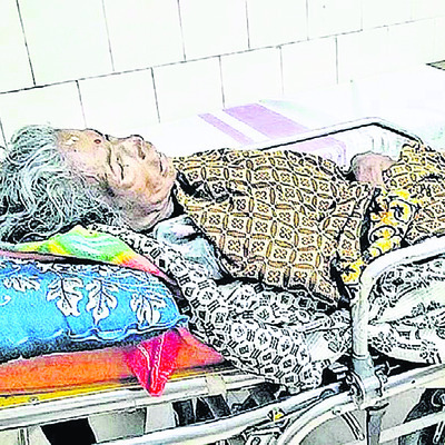 కొండచిలువ హల్ చల్ 1