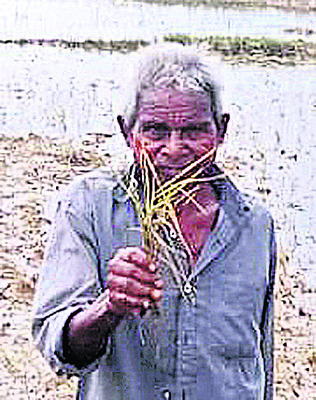 అంతులేని కష్టం.. అపార నష్టం7
