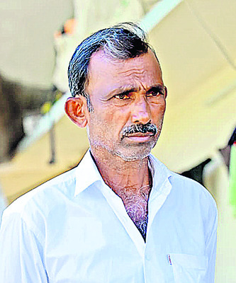 కనుమరుగవుతున్న నువ్వుల పంట!1