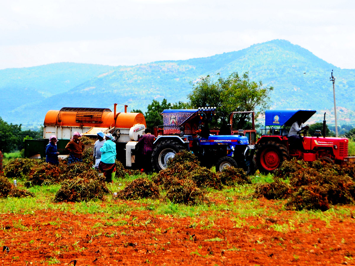 Best Photos of The Week in AP and Telangana Photo Gallery3