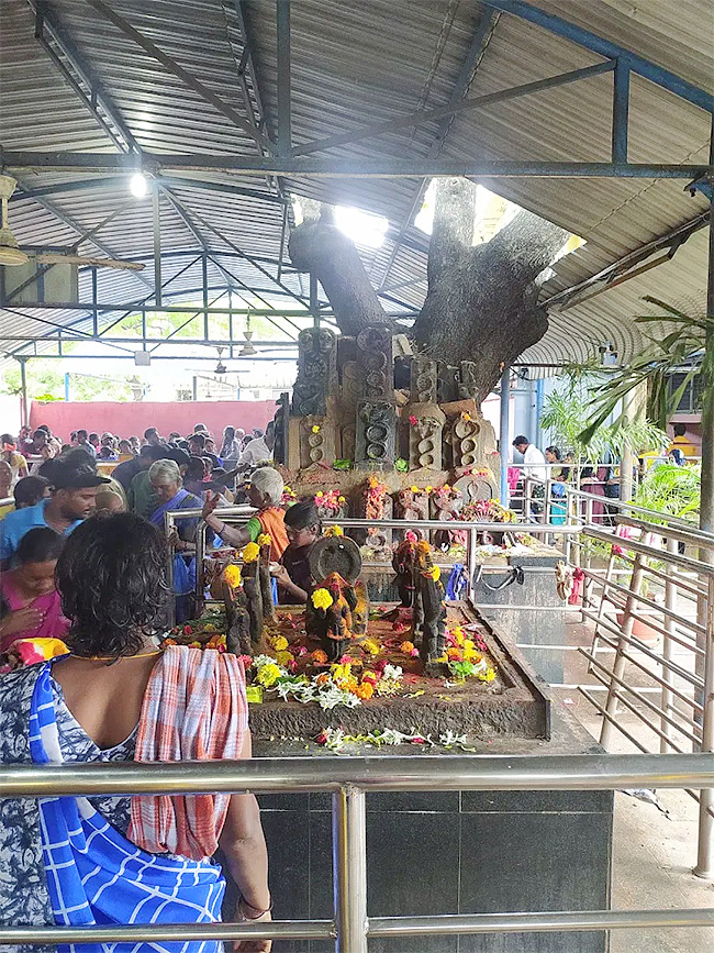 Sri Valli Devasena Subramanyeswara Swamy Temple At Kothuru12
