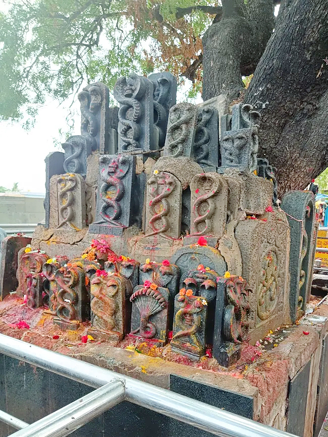 Sri Valli Devasena Subramanyeswara Swamy Temple At Kothuru3