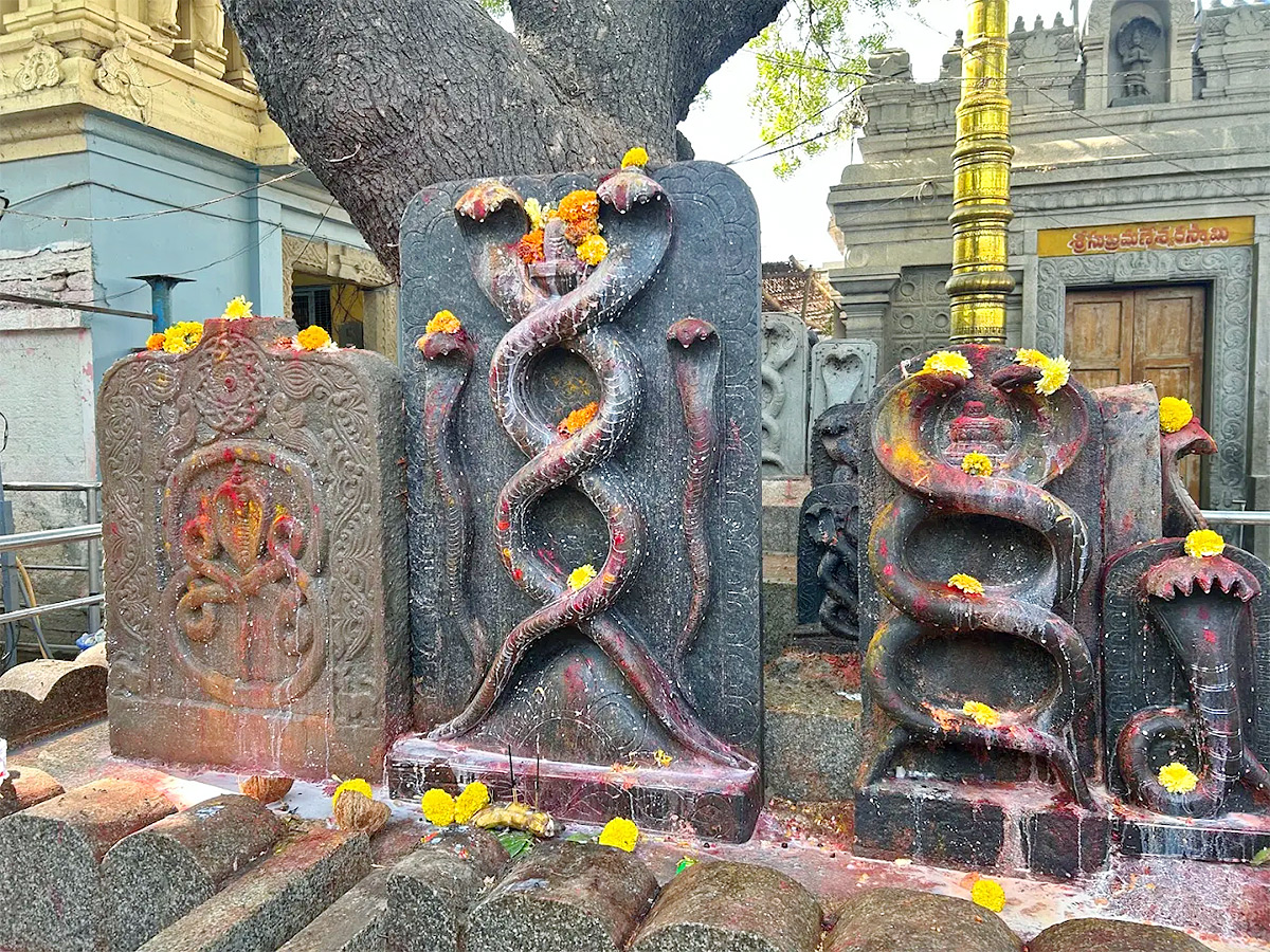 Sri Valli Devasena Subramanyeswara Swamy Temple At Kothuru4