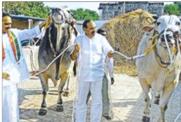 దామన్న యాదిలో..2