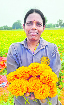 సాగు సులభం.. ఆదాయం ఘనం3