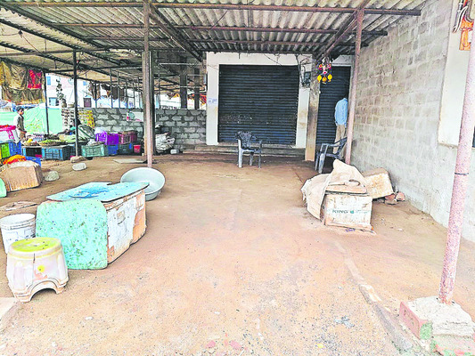 ఆయనొస్తేనే చేపల వేట1