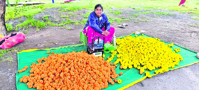 రైతులకు ‘పూల’బాట !1