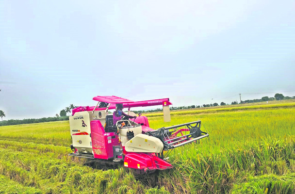 మొగులు.. గుబులు1