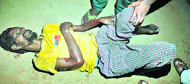 ఏనుగు పిల్ల మృతి 1