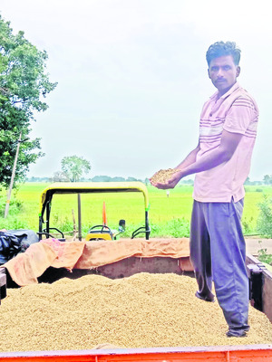 మొగులు.. గుబులు5