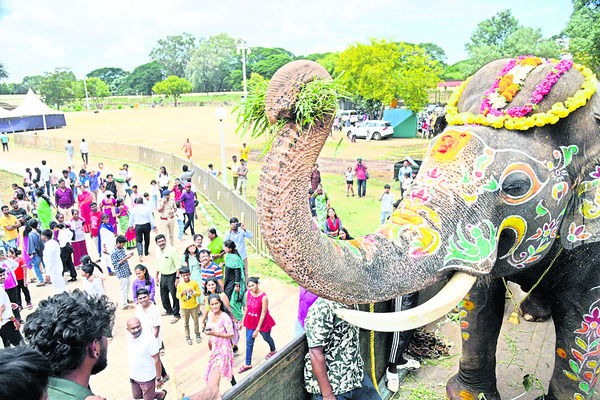 సంతోషం పంచి.. బాధగా వీడ్కోలు 1