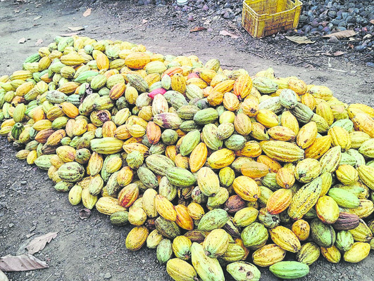 కోకో.. ఇచ్చింది తీస్కో2