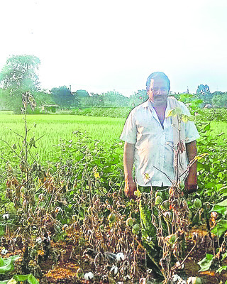 రైతుకు విపత్తి4