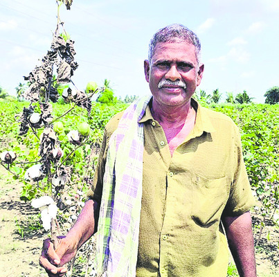 రైతుకు విపత్తి5
