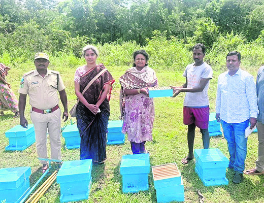 కోటమైసమ్మకు మొక్కుల చెల్లింపు
1