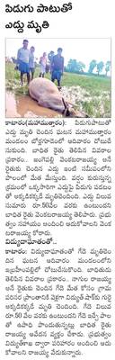 నేటి ప్రజాదివస్‌ రద్దు
1