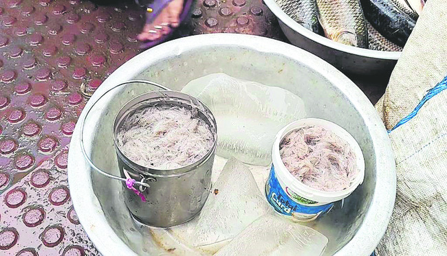 చీరమేను... అధరేను1