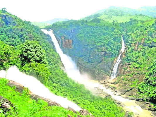 పాల నురగల పరవళ్లు1