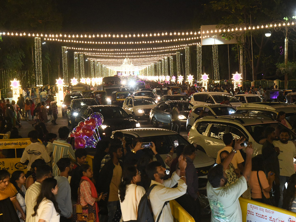Elephants are an integral part of the Mysore Dasara Festival12