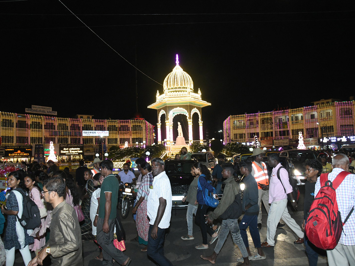 Elephants are an integral part of the Mysore Dasara Festival13