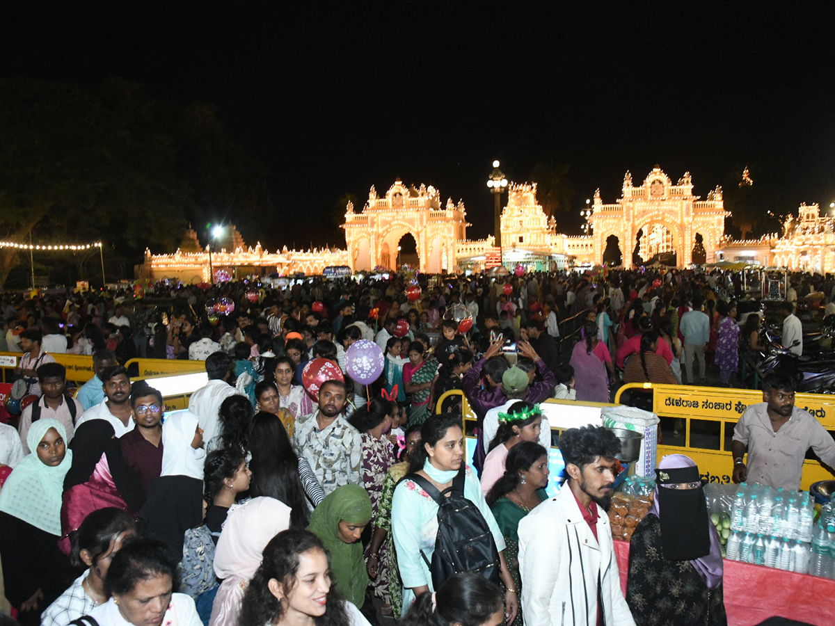 Elephants are an integral part of the Mysore Dasara Festival14