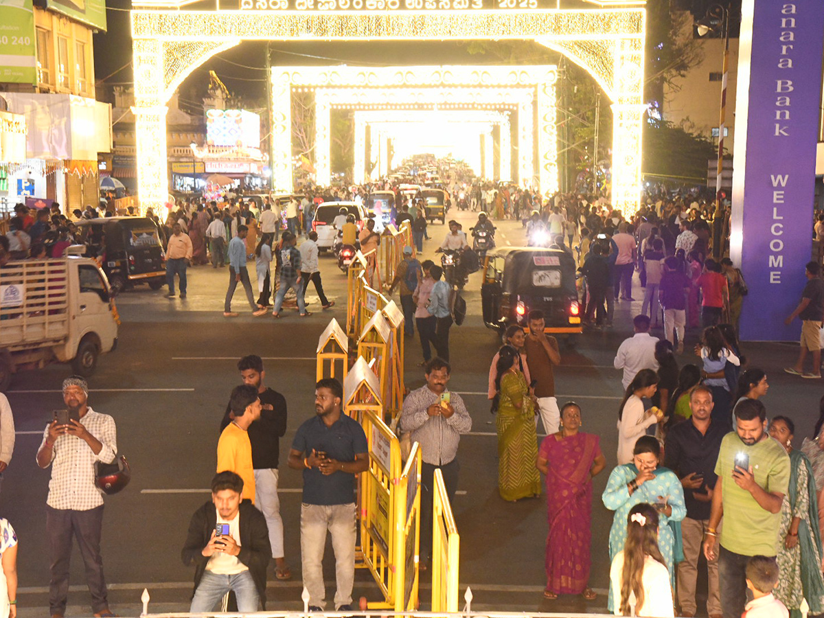 Elephants are an integral part of the Mysore Dasara Festival15
