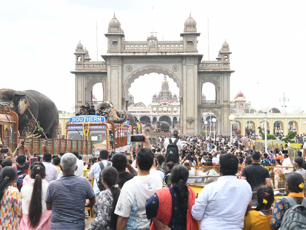 Elephants are an integral part of the Mysore Dasara Festival4