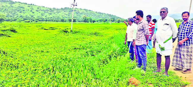 బాధ్యతల స్వీకరణ 2