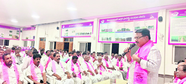 స్థానిక సంస్థల ఎన్నికల్లో కోర్టు తీర్పు కీలకం 1