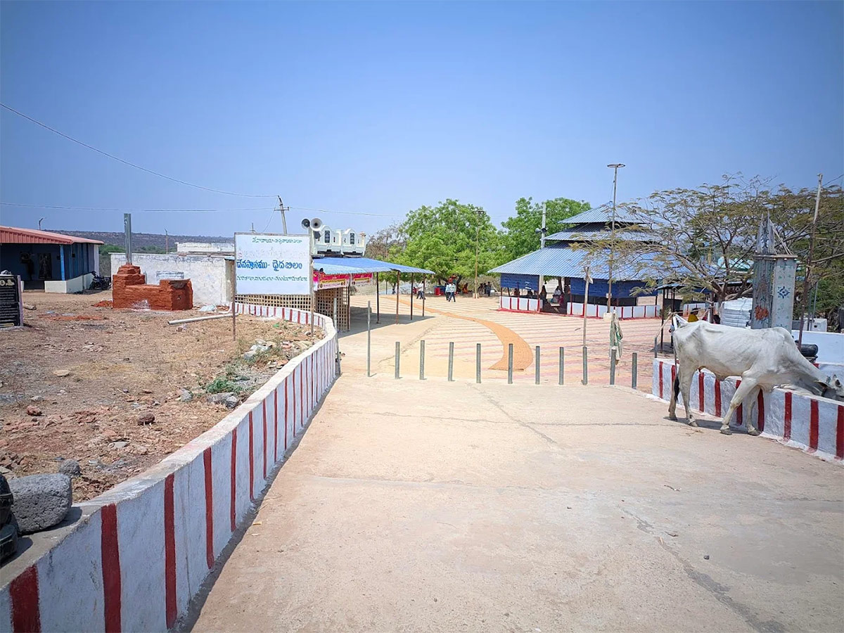 Sri Amaralingeswara Swamy Temple in Daida Bilam Photos13
