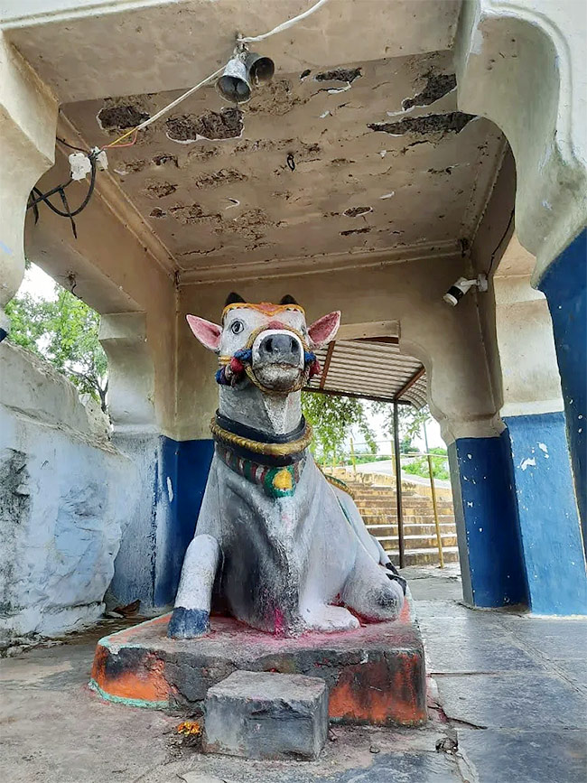 Sri Amaralingeswara Swamy Temple in Daida Bilam Photos14