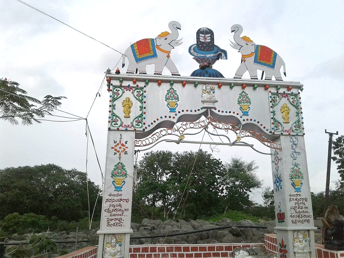 Sri Amaralingeswara Swamy Temple in Daida Bilam Photos17