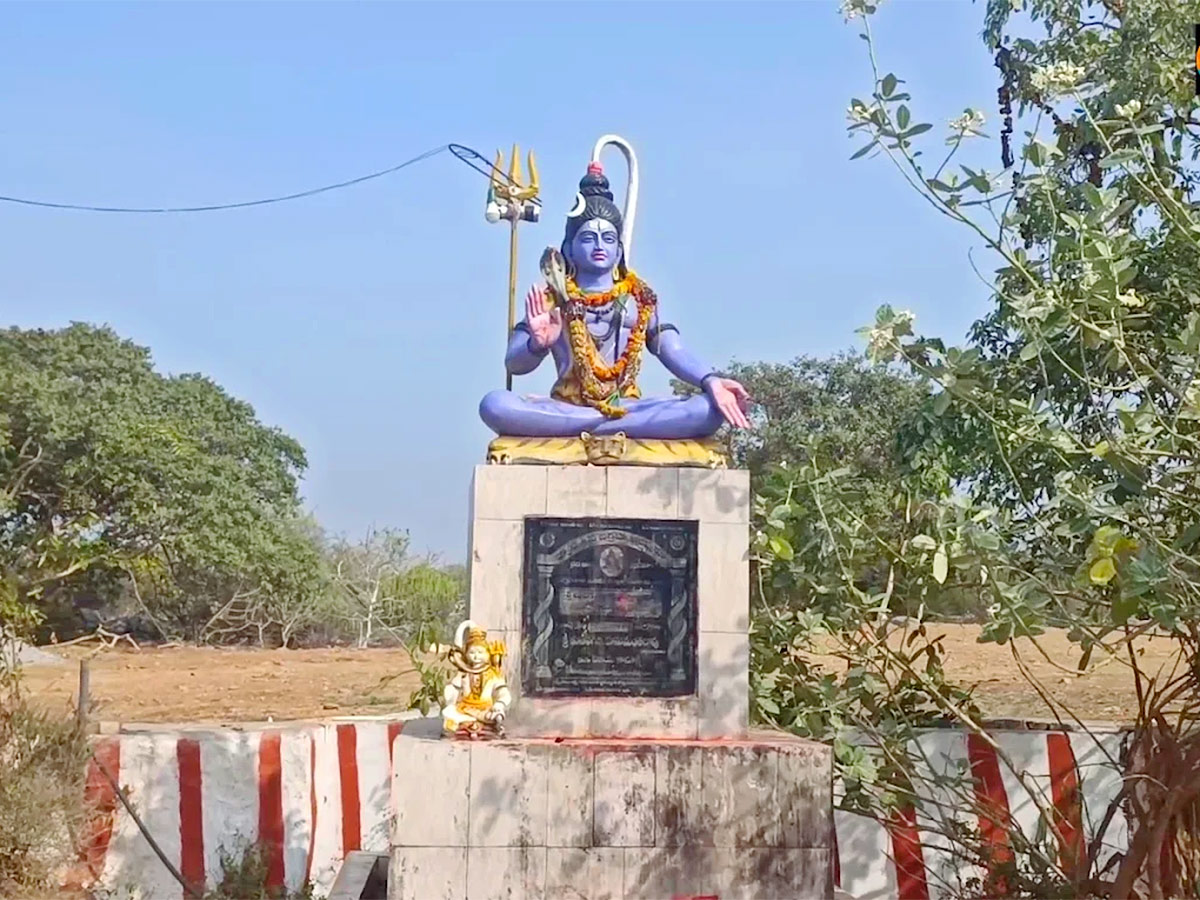 Sri Amaralingeswara Swamy Temple in Daida Bilam Photos21