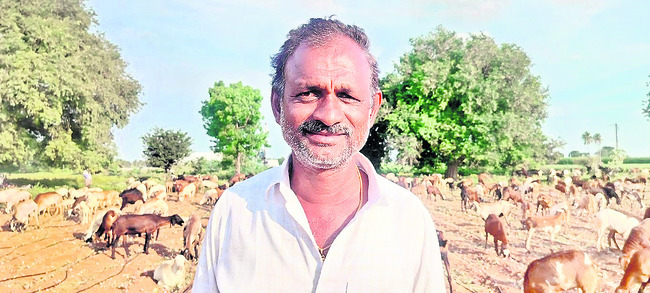 భారీగా నష్టపోయా.. 
1